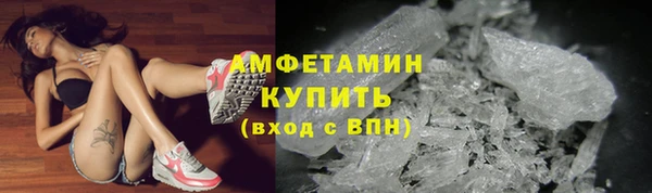 мет Алексин