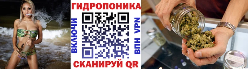 Бошки Шишки план KRAKEN онион сайты даркнета формула Когалым